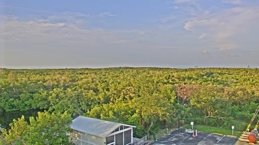Weather camera view of WTSP-TV.