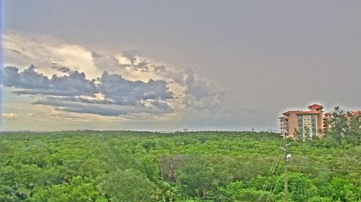 Weather camera view of WTSP-TV.