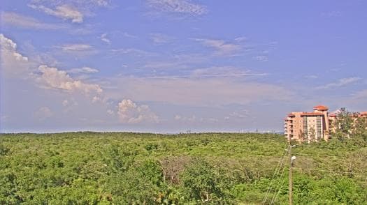 Weather camera view of WTSP-TV.