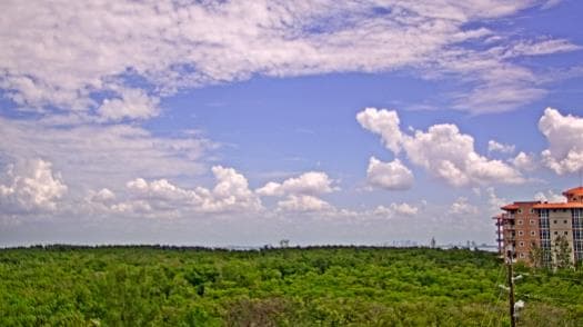 Weather camera view of WTSP-TV.