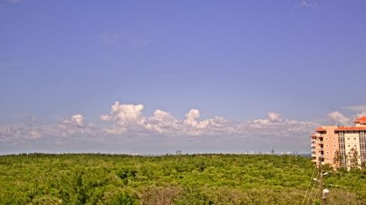 Weather camera view of WTSP-TV.