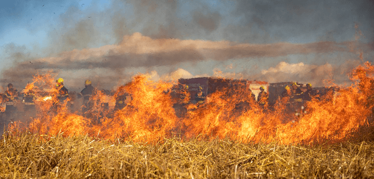 A fire burns a field of dry vegetation. Image credit: fish96 via Pixabay