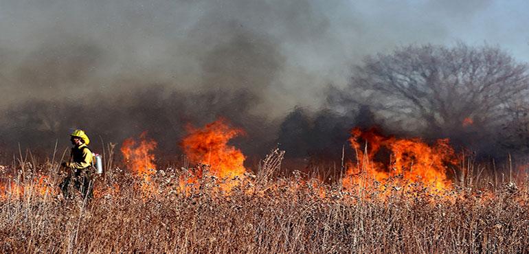 A firefighter fighting a fire in a dry field (Image by Ted Erski from Pixabay)