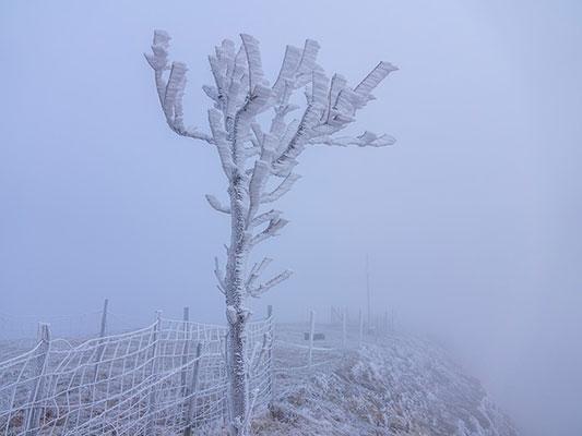 Freezing fog is seen. (Courtesy of Pixabay.com)
