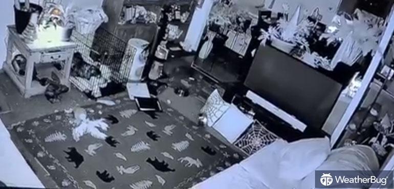 This video, filmed by Zachery Thomas Dunn’s security camera, shows the earthquake scaring his pets and sending objects crashing to the floor in Taylorsville, Utah.