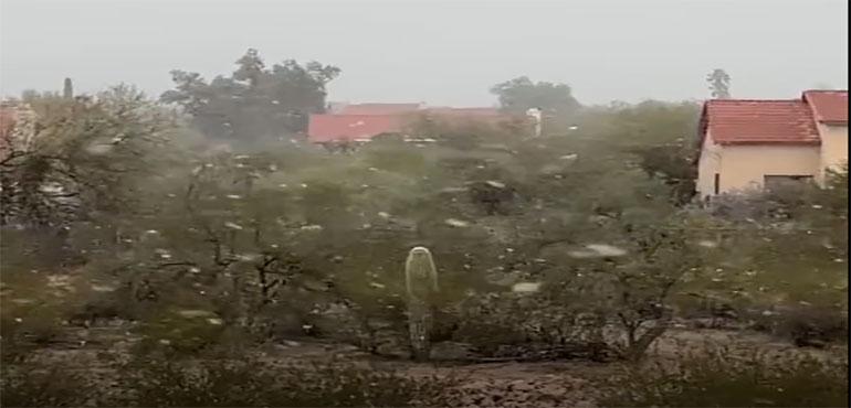 Wintry weather dusted parts of Arizona in snow, on Monday, January 23. (Courtesy @Allophile via Storyful)
