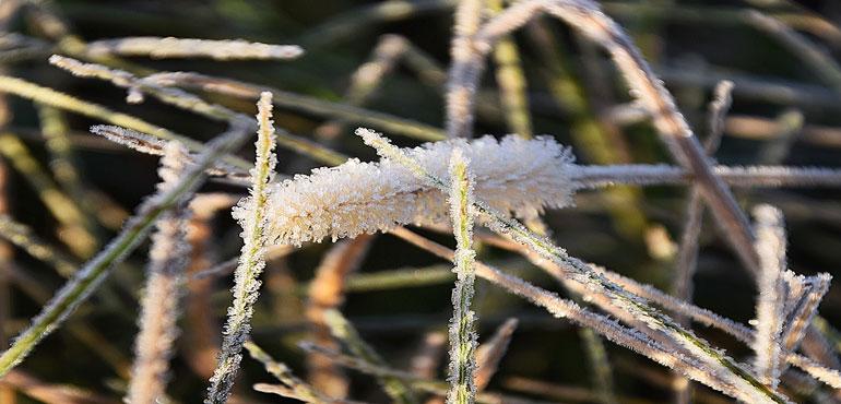 (Image provided by Pixabay.com)