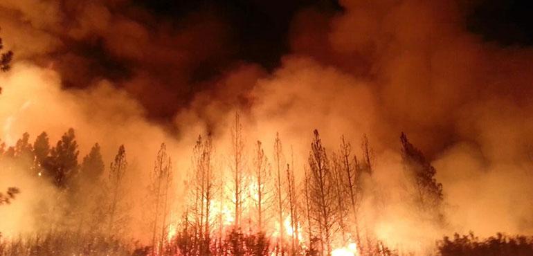 The Rim Fire in the Stanislaus National Forest near in California began on Aug. 17, 2013 and is under investigation (U.S. Department of Argiculture)
