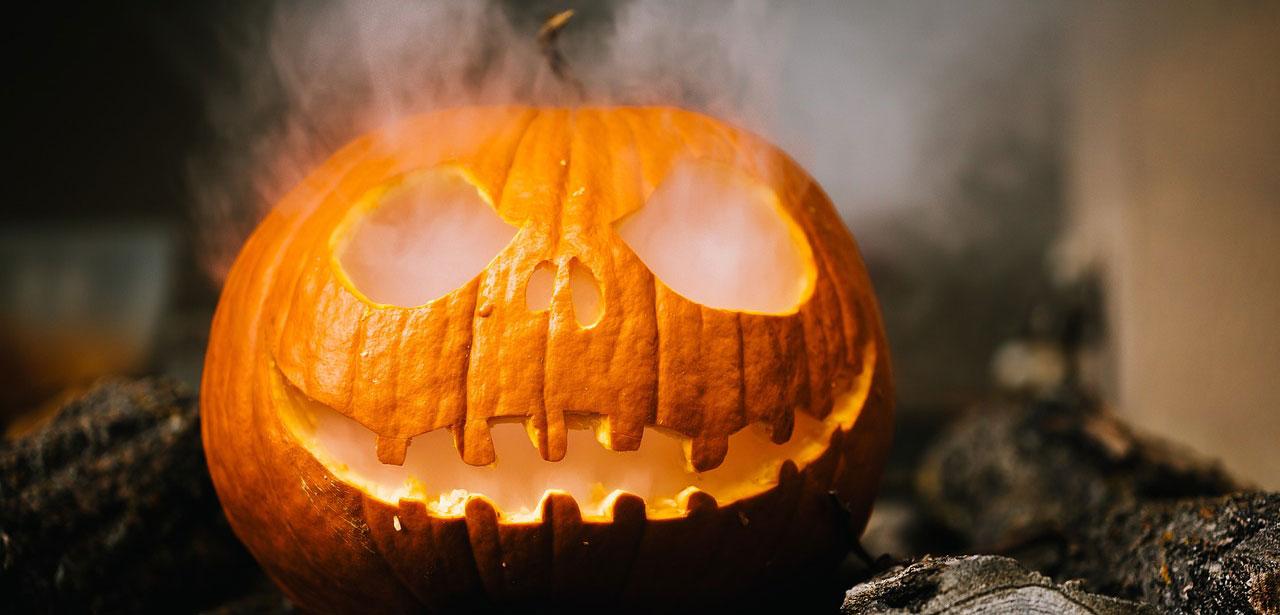 Image by Benjamin Balazs from Pixabay