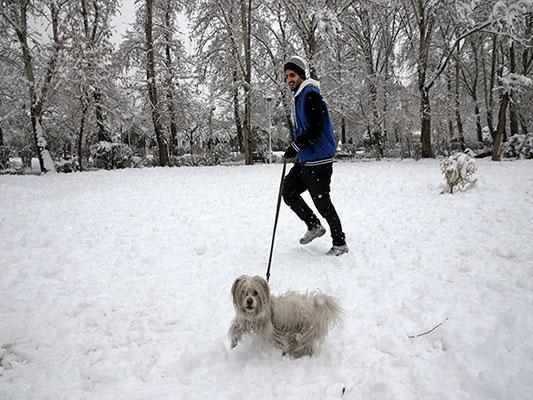 A man walks his dog in Laleh Park in central Tehran, Iran, Sunday, Jan. 28, 2018. While Iran's first heavy snowfall of the season has forced both international airports and schools in the capital to close, many people went to streets and parks to play and enjoy the rare snowy day. (AP Photo/Vahid Salemi)