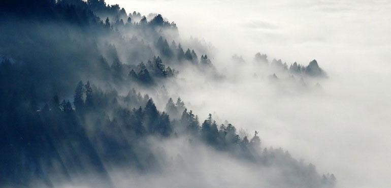 Image by Christa Regina from Pixabay