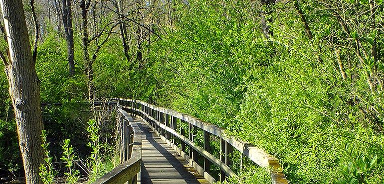 A walkway along a mountain hike. (Wikimedia)