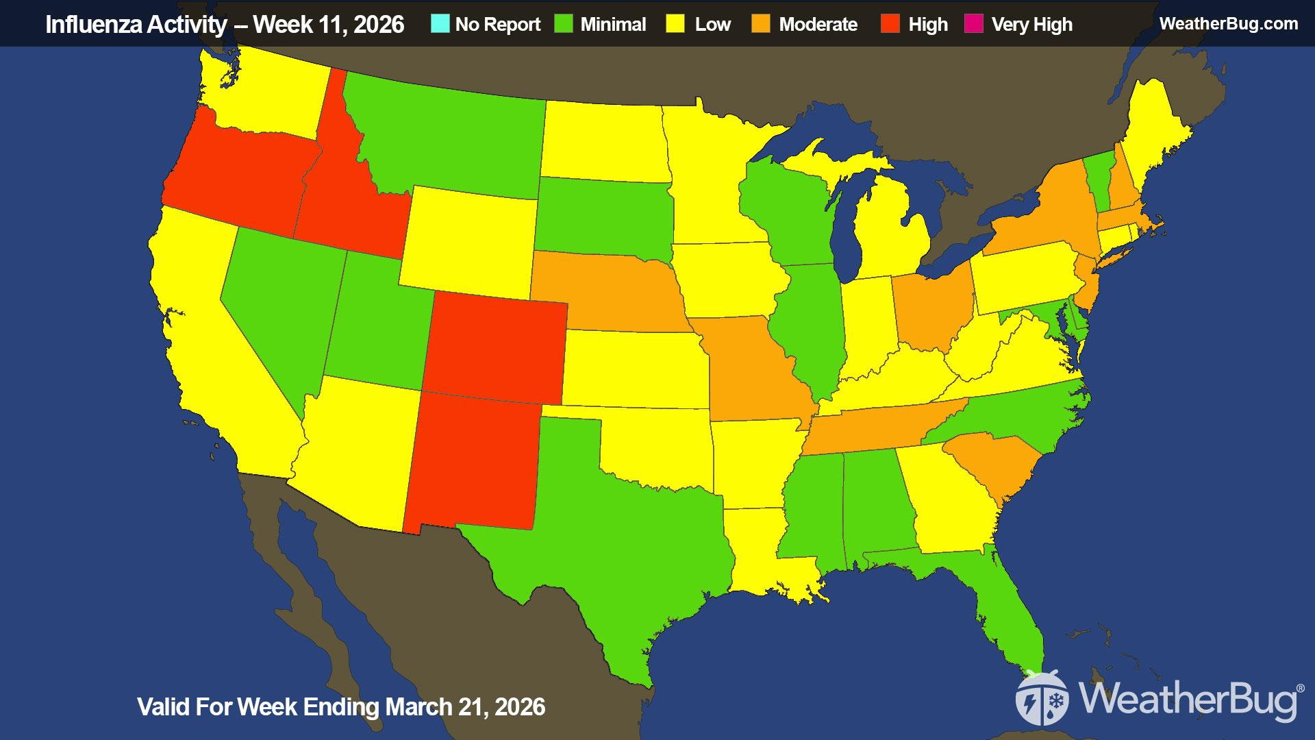 Flu Update Valid For Week Ending March 21, 2026