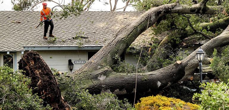 Workers clear a tree that fell onto a home during heavy wind and rain on Sunday, Feb. 4, 2024, in San Josh, Calif. (AP Photo/Noah Berger)
