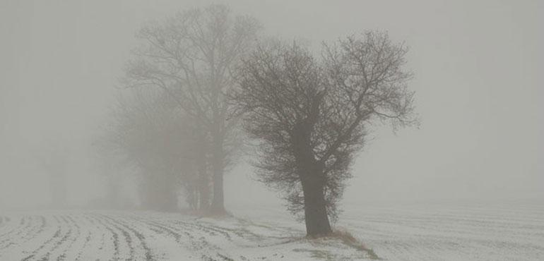 Freezing fog (Richard Croft via Wikimedia Commons)