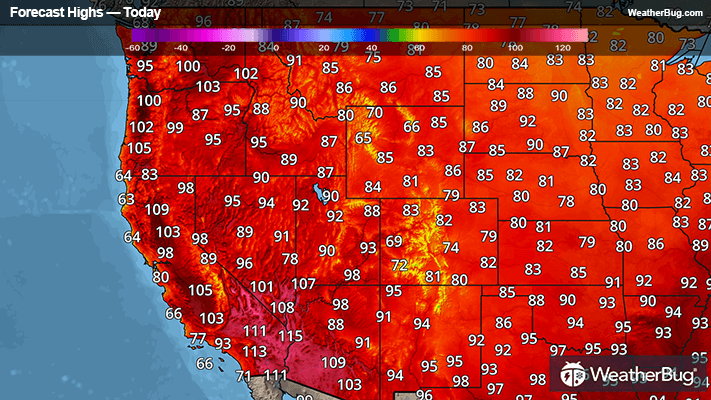 Today's Forecast Highs
