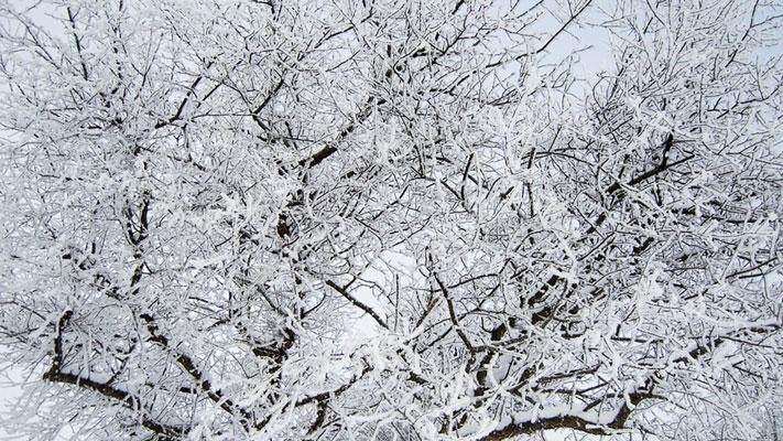 Snowstorm via Pixabay