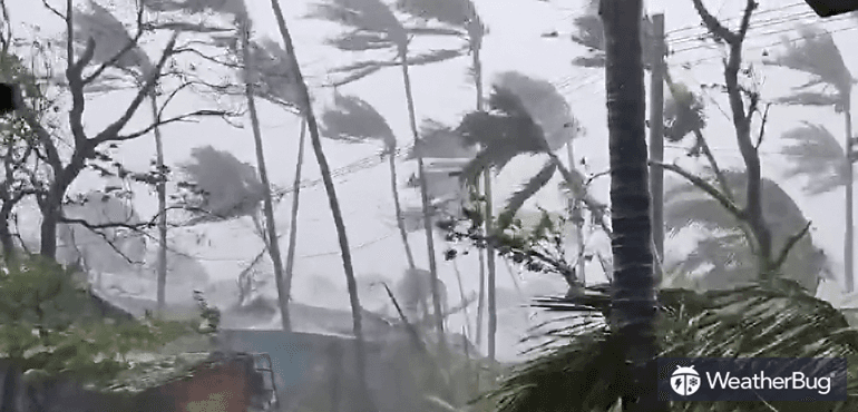 Heavy rain and strong winds bend trees and send small debris through the air.