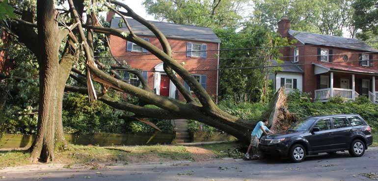 Tree and power line damage is evident in Bethesda, Md., following the derecho (Wikimedia Commons)