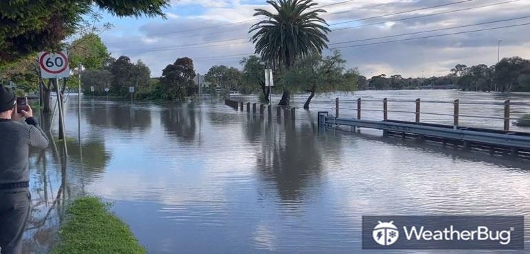 Credit: Erica Neill via Storyful