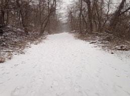 A snow-covered trail in Sparkill, N.Y. (H. Martinez, WeatherBug user)