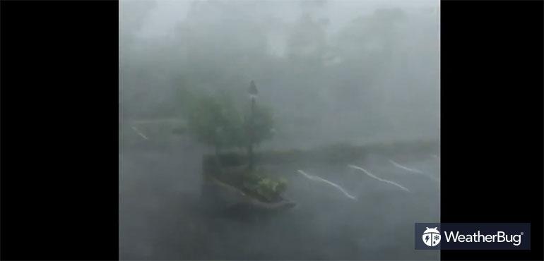 Wind and rain batter Naples, FL.