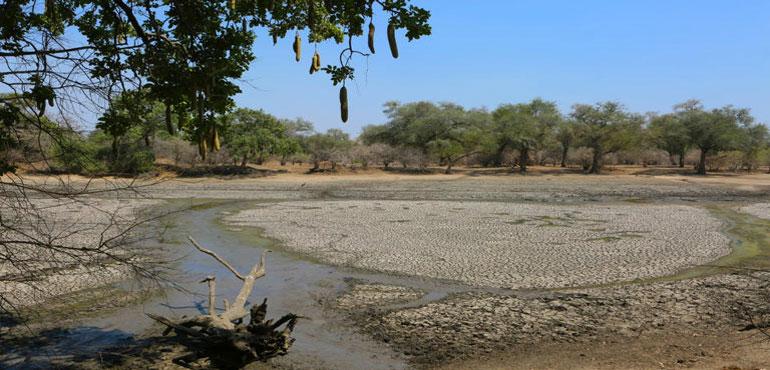A sun baked pool that used to be a perennial water supply is seen in Mana Pools National Park, Zimbabwe on Oct. 27, 2019. Malawi has declared a state of disaster over drought in 23 of its 28 districts and the president says it urgently needs more than $200 million in humanitarian assistance, the latest country in the region to have its food supply crippled by a severe dry spell that's been linked to the El Niño weather phenomenon. The announcement by Malawian President in a speech Saturday March 23, 2024 night came less than a month after neighboring Zambia declared a national disaster over drought and called for help. A third country, Zimbabwe, has also seen much of its crops decimated and is considering following suit and declaring a drought disaster. (AP Photo/Tsvangirayi Mukwazhi, File)