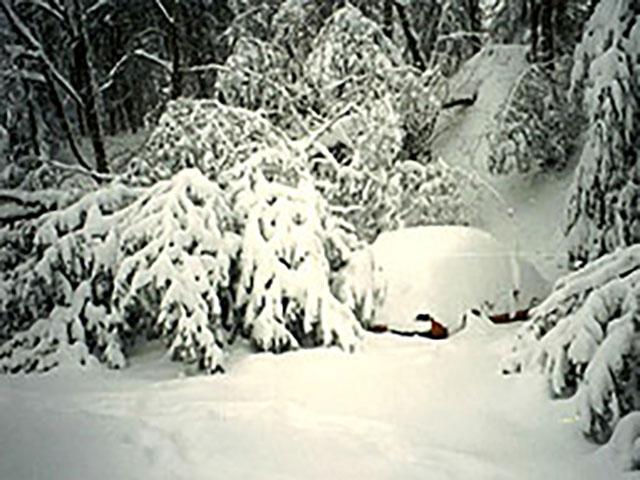 Snow buries a car in Asheville, N.C., during the 1993 blizzard with a downed tree adjacent to the vehicle. (Image Courtesy of NOAA, National Oceanic and Atmospheric Administration)