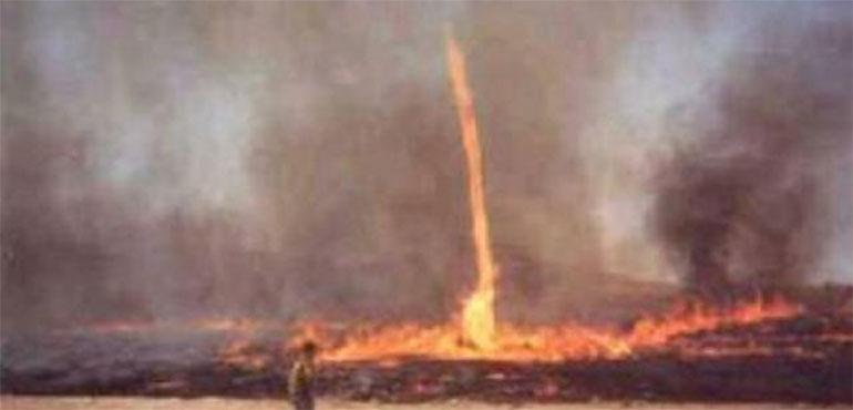 A fire whirl takes off during an ongoing wildfire (Wikimedia Commons)