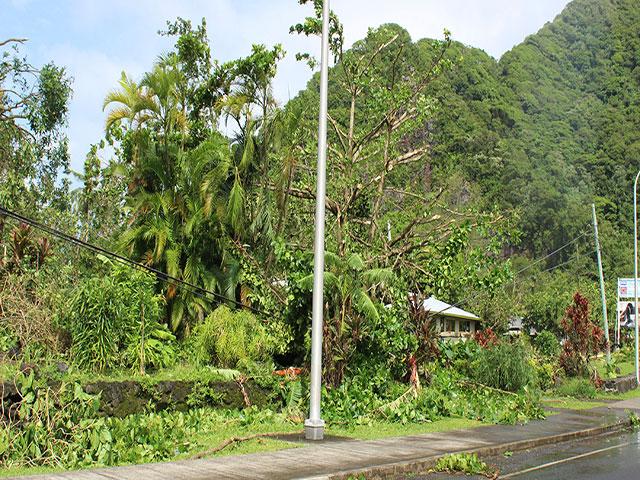 This Saturday, Feb. 10, 2018, photo shows electric and telephone wires downed by trees from Friday's Tropical Storm Gita in American Samoa. President Donald Trump late Sunday, Feb. 11, 2018, approved a disaster declaration for the U.S. territory in the South Pacific. (AP Photo/Fili Sagapolutele)