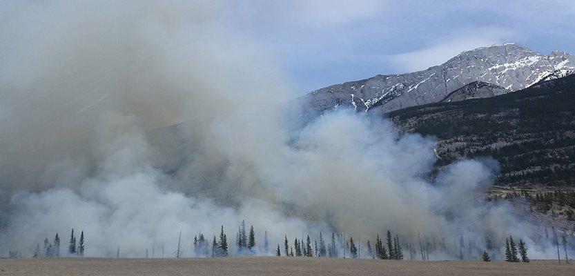 Image by Jackie Burton from Pixabay