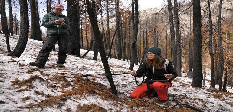 Story Image: Graduate student Arielle Koshkin, left, takes notes as snow hydrologist Anne Nolin, right, measures snow reflectivity at the site of the 2021 Caldor Fire Monday, April 4, 2022, near Twin Bridges, Calif. (AP Photo/Brittany Peterson)