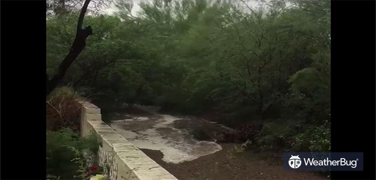 Flash flood waters turn backyard path into creek.
