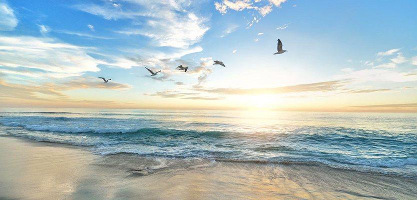 Image by Pexels from Pixabay