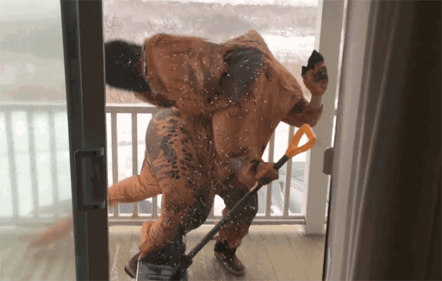 T-Rex struggling in the wind.