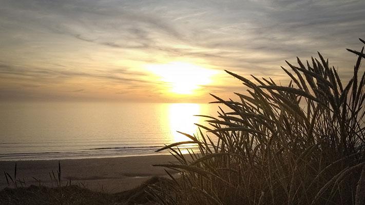 A golden sunset at the beach behind beach grass (Image by Richard Norris from Pixabay)