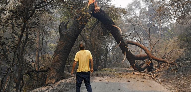 A man glances up at a tree that is blocking his way while attempting to go home after a fire ravaged the area on Mix Canyon Road in Vacaville, Calif., on Thursday, Aug. 20, 2020. (Jose Carlos Fajardo/Bay Area News Group via AP, File)