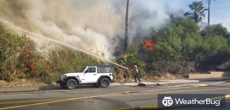 Footage shared by landscape photographer Steve Deck shows firefighters extinguishing flames that were engulfing roadside brushes.