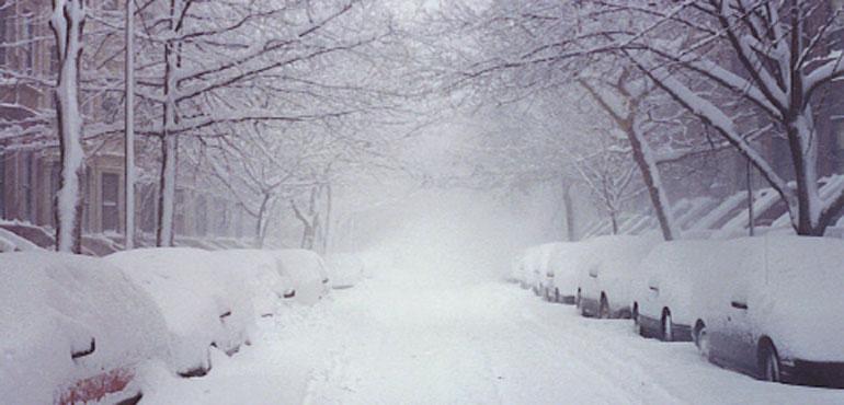 Snow on a street in Park Slope, Brooklyn, N.Y. (Anna Kucsma, Wikimedia Commons)