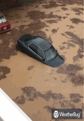 Cars submerged in water in parking lot.