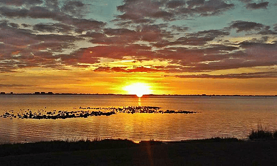 A sunset near Sarasota, Fla., snapped by WeatherBug user David Harris on February 1, 2017.