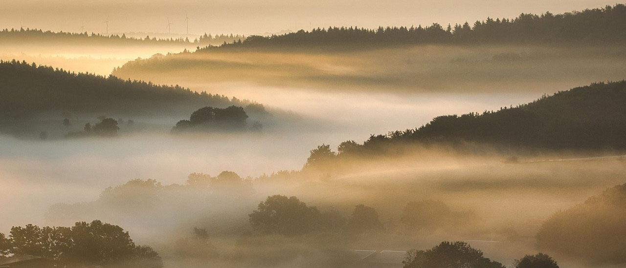 Story Image by Ingo Jakubke from Pixabay