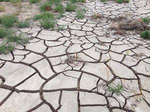 Dry and cracking mud (Wikimedia Commons)