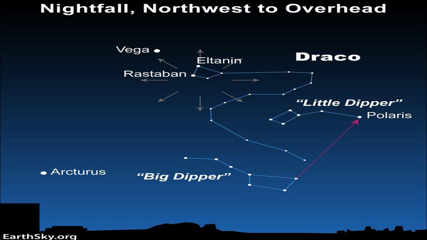 Draconid Meteor Shower Radiant. Image Courtesy of Earthsky.org