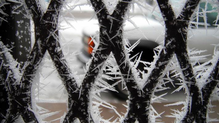 Story Image via pixabay.com