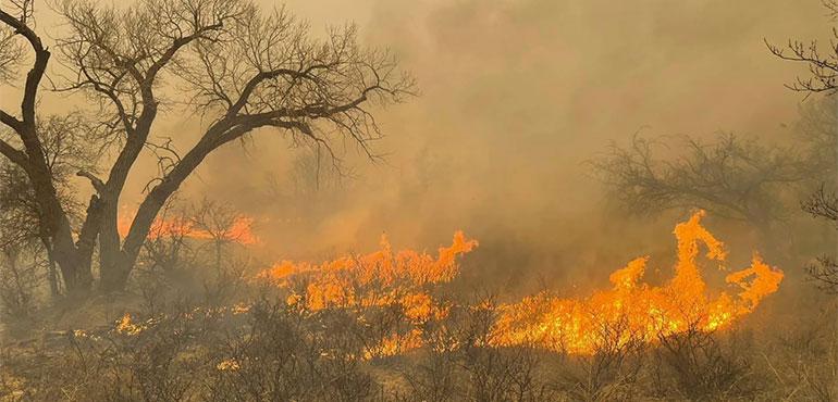 This image taken from Greenville Fire-Rescue's Facebook page on Wednesday, Feb. 28, 2024 shows a fire in the Texas Panhandle. (Greenville Fire-Rescue via AP)