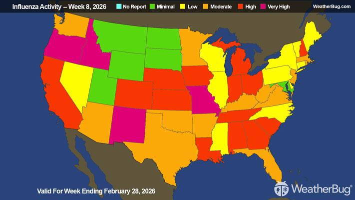 Flu Update Valid For Week Ending February 28, 2026
