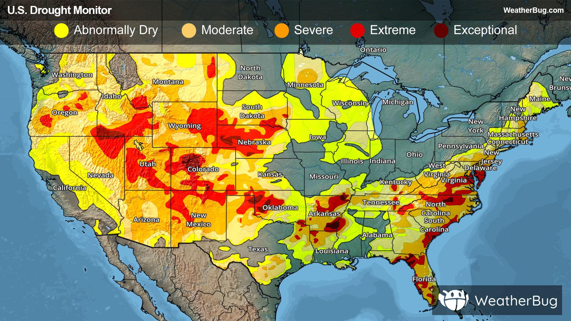 Drought Monitor for June 11, 2026