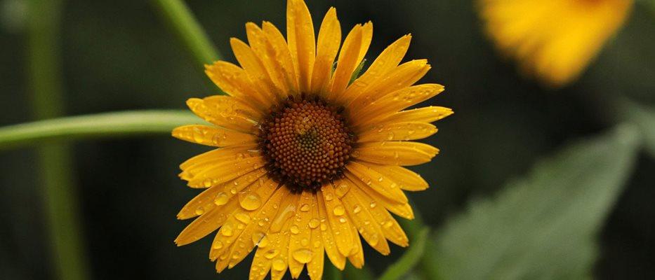 Image from pixel2013 via Pixabay