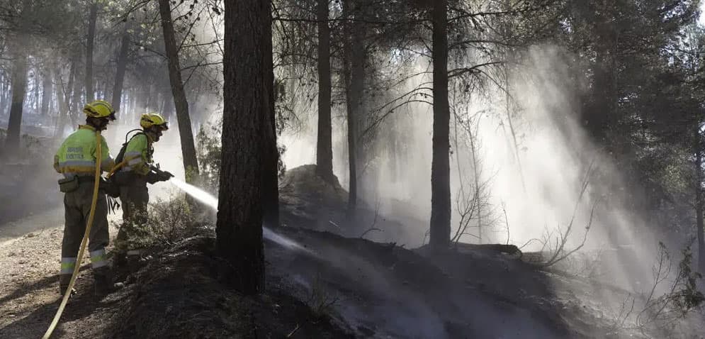 Firefighters try to extinguish a forest fire in Fuente la Reina, Castellon de la Plana, Spain, March 29, 2023. (AP Photo/Alberto Saiz, File)